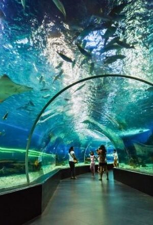 Dubai acquarium